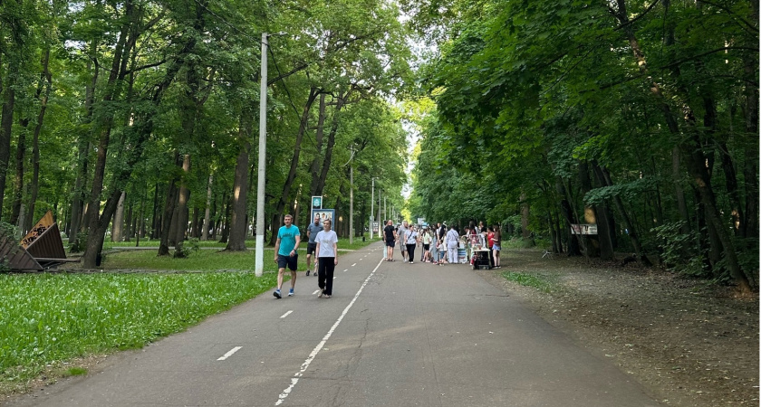 В Мордовии осудят 52-летнего бизнесмена за вырубку деревьев на 244 тыс. рублей