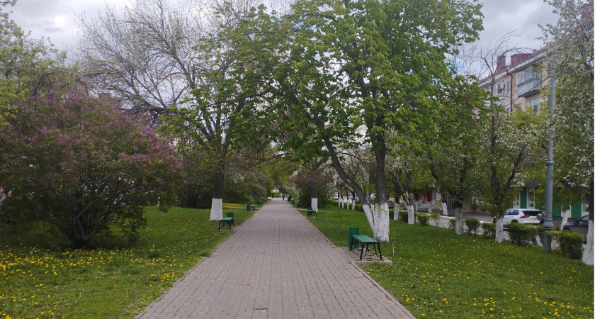 На улицах Саранска повесили портреты фронтовиков с вдохновляющими цитатами