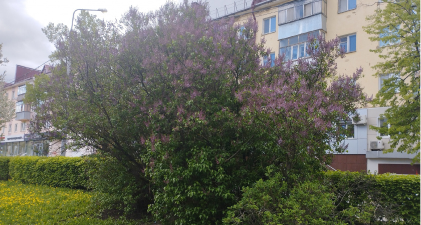 Студенты Саранска поучаствовали в патриотических мероприятиях в Минске