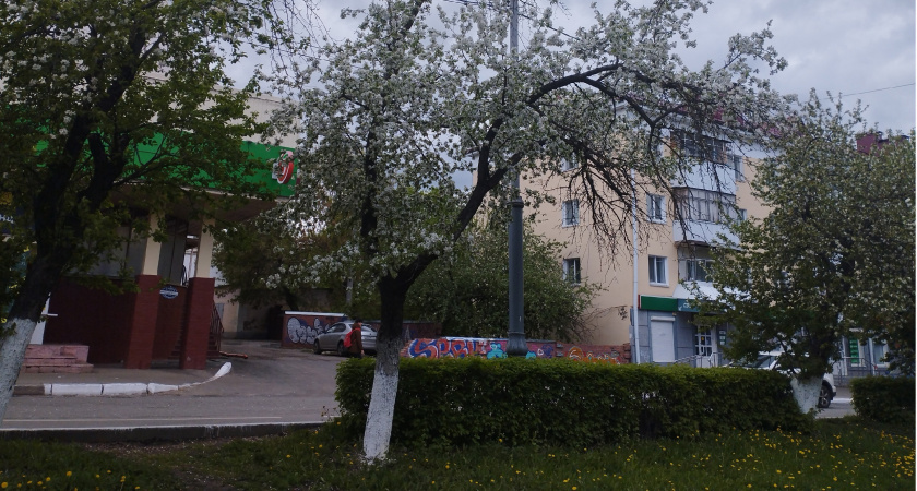 В Мордовии провели ремонт в туристско-информационном центре