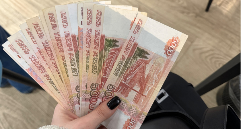 В Мордовии доложили об исполнении регионального бюджета за 2024 год