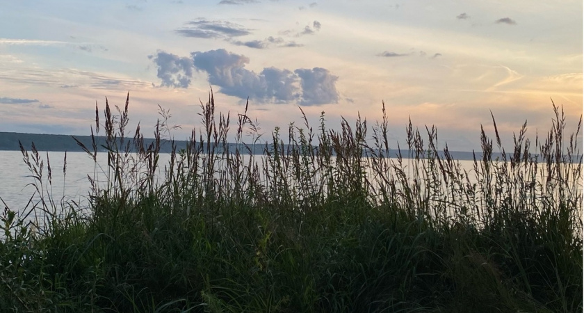 Следственный комитет Саранска выясняет обстоятельства гибели женщины на воде