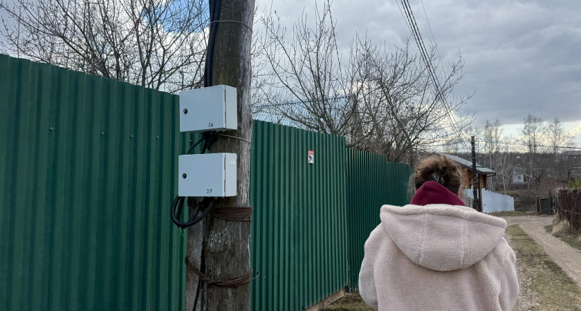 Не забор, а мечта любого дачника: забудьте о заборе из профлиста — есть более эффектный способ отгородиться от соседей