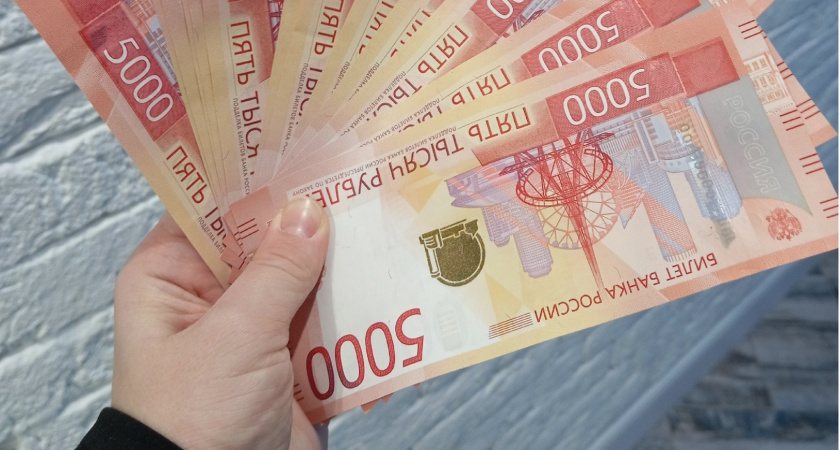 Житель Мордовии обманул государство на 350 тысяч рублей