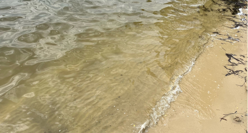 В Темниковском районе утонул мужчина