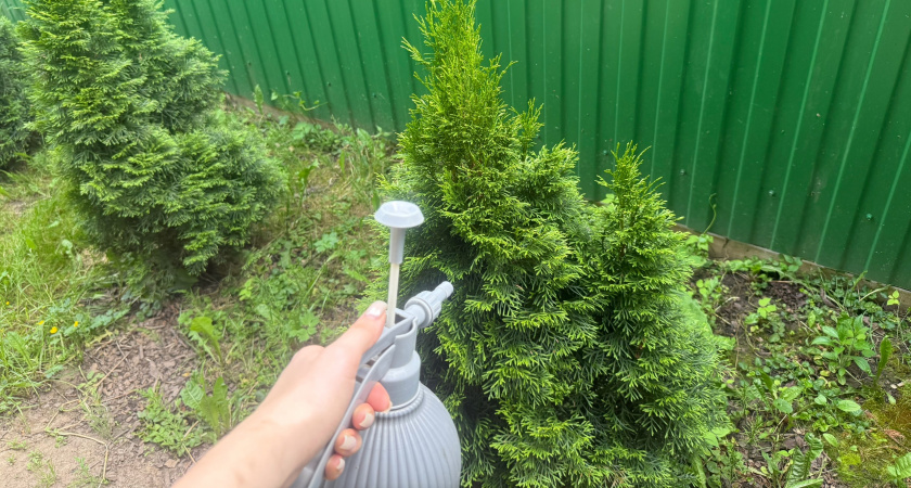 Лейки выбросила: муж сделал хитрую систему полива из обычной бочки - без насоса и электричества