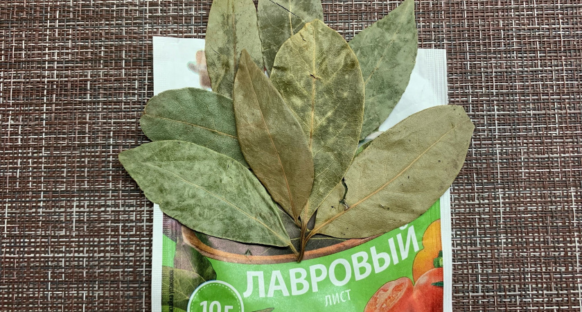 Лавровый лист засыпаю солью — весь июнь не нарадуюсь своей хитрости: полезный лайфхак для домашних хозяек