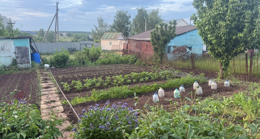 Соседи смеялись когда мы купили заброшенный участок с помойкой: спустя пять лет все встало на свои места