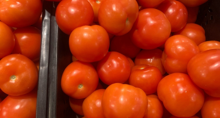 Заметила цветущие томаты — сразу хватаюсь за лейку: больше ни одного пустоцвета, только море женских цветов