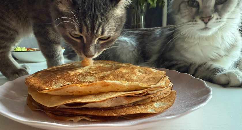 Добавляю это в тесто перед мукой: блины получаются кружевные, нежные и вкусные - тоньше китайской грамоты