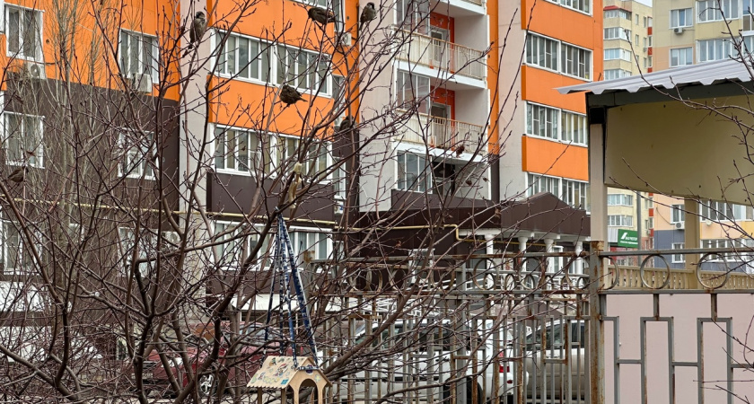 Домашние вампиры: шесть вещей в доме, которые незаметно крадут ваше здоровье каждый день