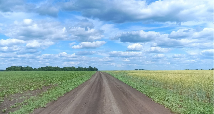 В Ромодановском районе планируется обработка сельхозкультур пестицидами