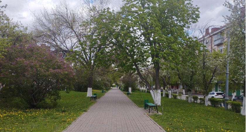 18 июня в Мордовии ожидается переменная облачность и +22