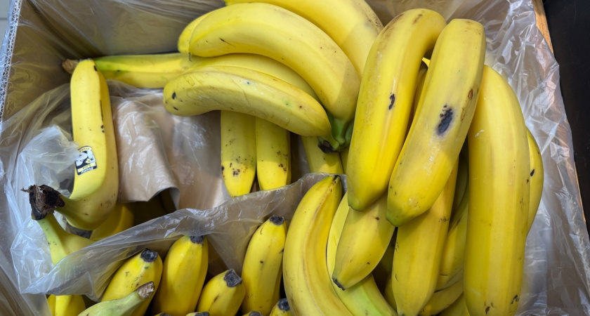 Вот для чего продавцы "Магнитов" и "Пятёрочек" забирают себе из ящиков с бананами маленькие незаметные пакетики?