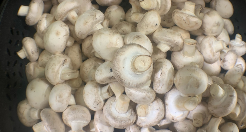 Нужно ли снимать кожицу со шляпок шампиньонов. Запомните раз и навсегда