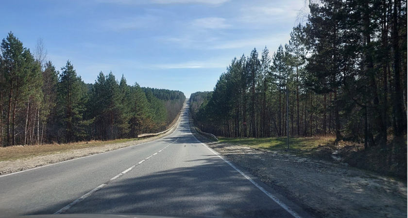 В Мордовии в массовом ДТП пострадала 52-летняя пассажирка 