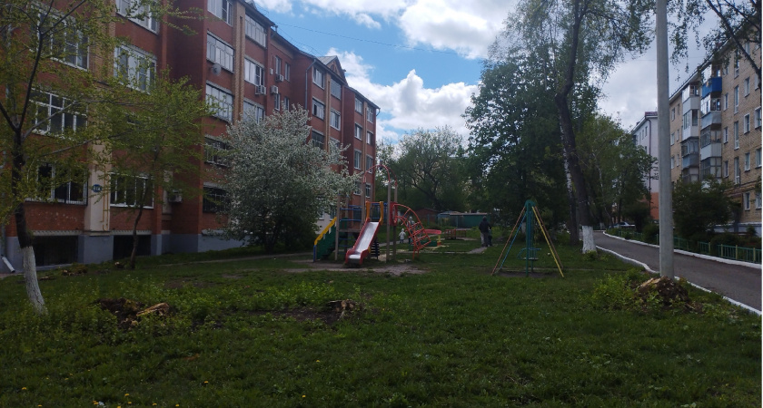 В Саранске стартовал второй этап борьбы с борщевиком