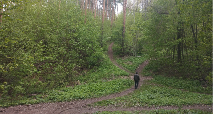 МЧС Мордовии предупредило об опасной погоде