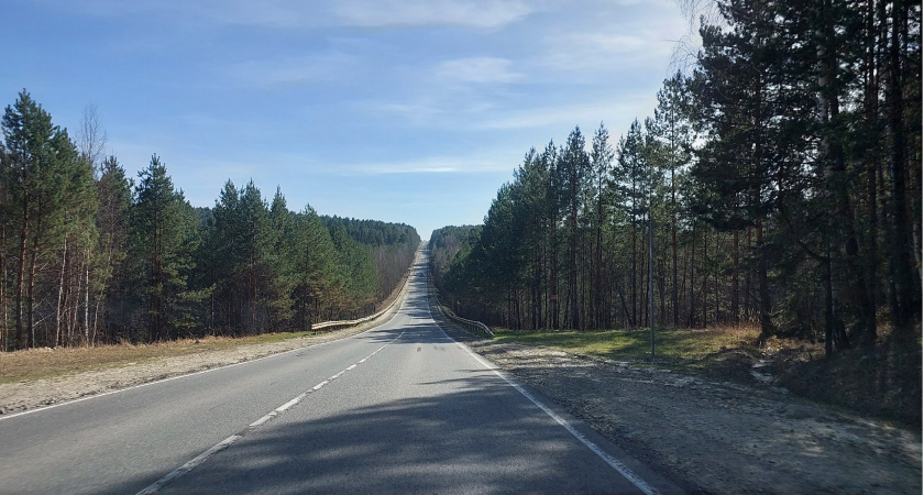 В Мордовии погибло 14 диких животных в результате ДТП за 2 месяца