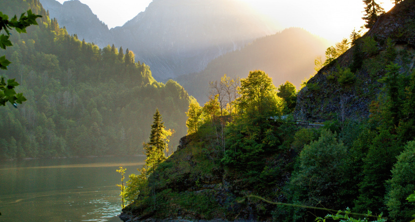 "Даже бесплатно туда больше ни ногой": российские туристы оставили честные отзывы об отпуске в Абхазии