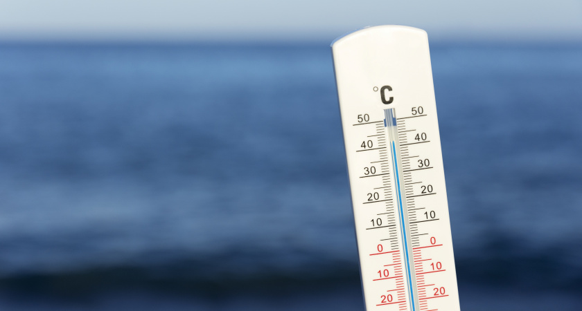 "Страдать будем все": синоптик Вильфанд назвал точную дату, когда адская жара нагрянет в Россию