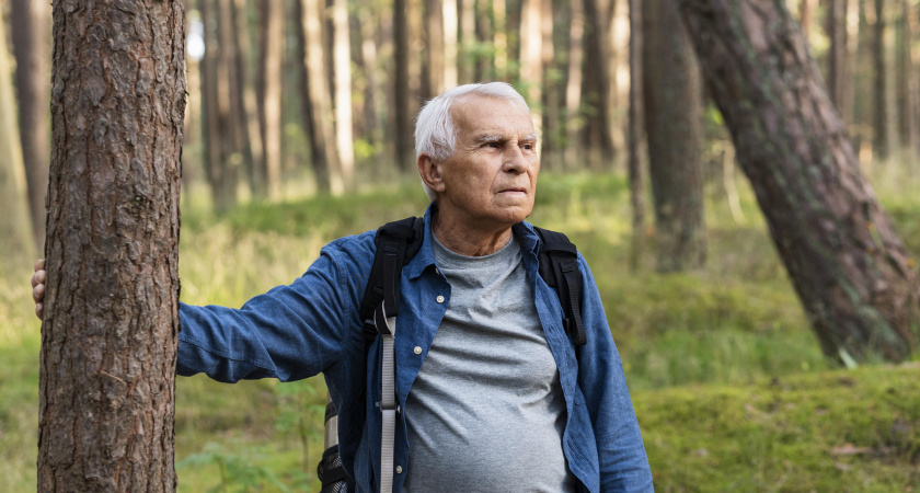Не орите на весь лес и не звоните в полицию: эти ошибки могут стоить жизни заблудившимся грибникам