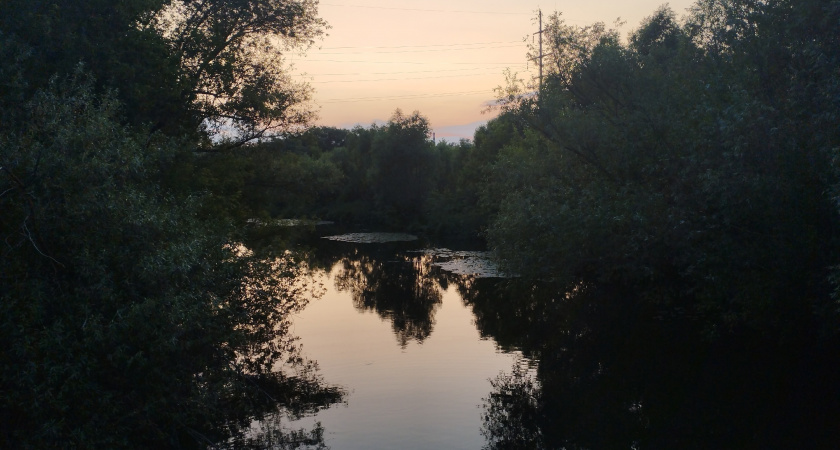 В Саранске выясняют причины гибели рыбы в реке Инсар, обнаруженной возле набережной