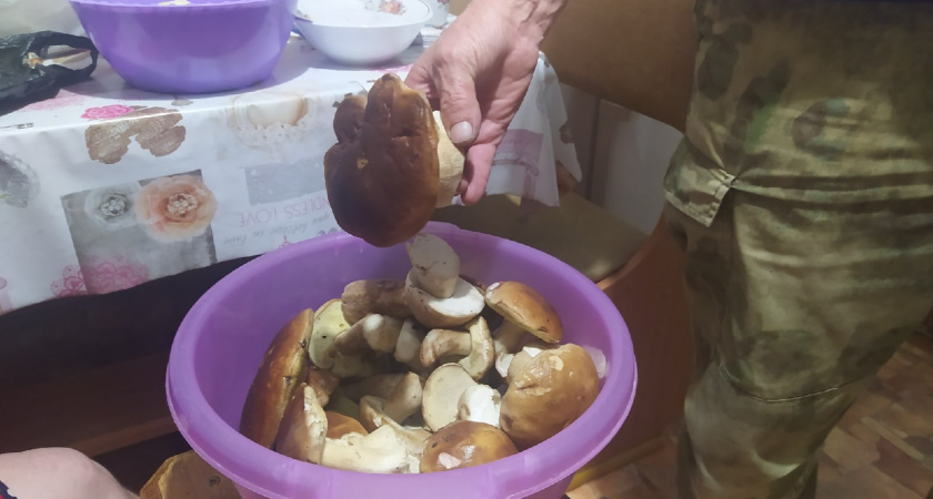 «Гепард» Мордовии поделился фирменным рецептом грибов по-спецназовски