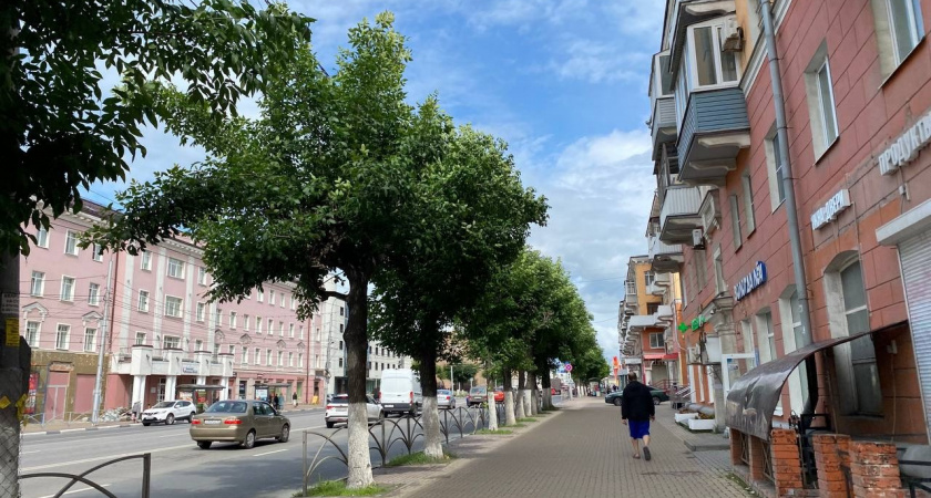 В Мордовии почтили память автора советского герба города Саранска