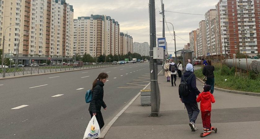 Верховный суд поставил точку: водитель не обязан уступать дорогу пешеходу - даже если он уже на зебре