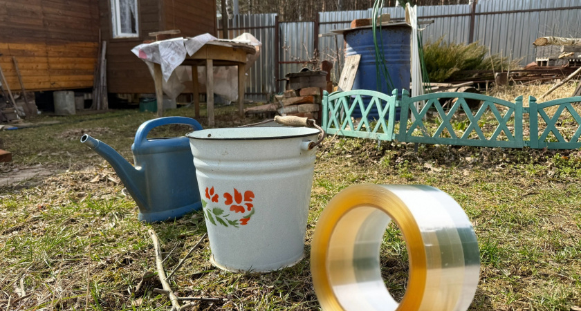 Обычный скотч сотворит чудо: вот как использую его от паразитов на даче - обезвреживаю за секунду 