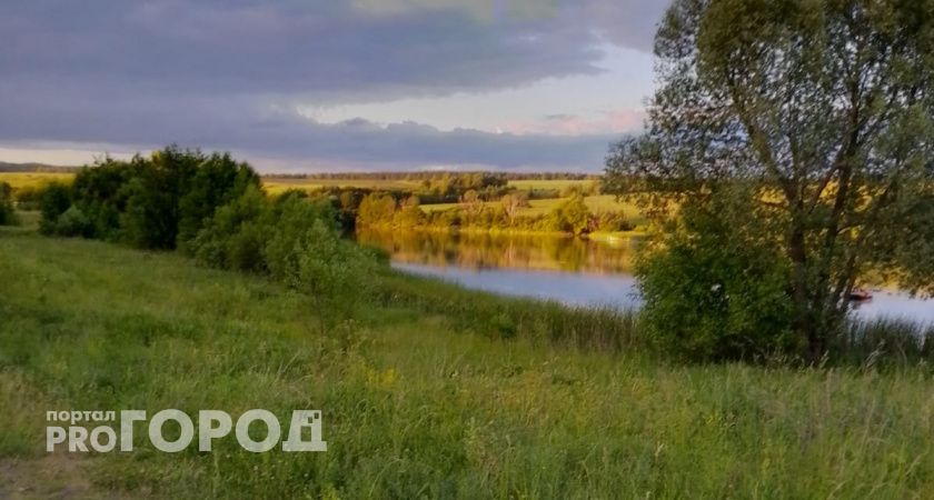 В Рузаевке расцвели редкие краснокнижные цветы – лотосы