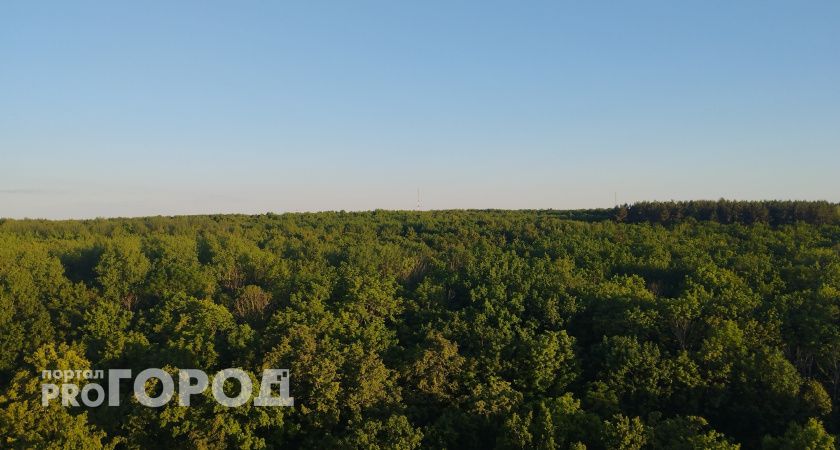 В Мордовии объявлен режим беспилотной опасности: экстренные службы наготове