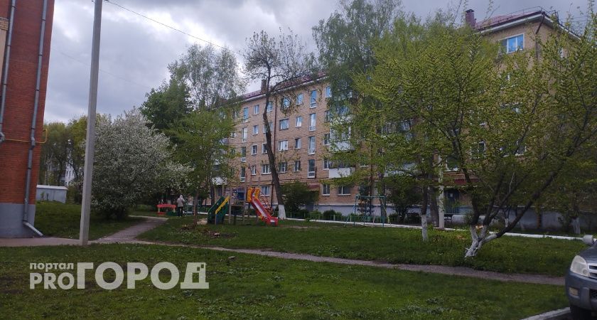 В Саранске повторно скашивают борщевик: опасный сорняк не сдаётся без боя