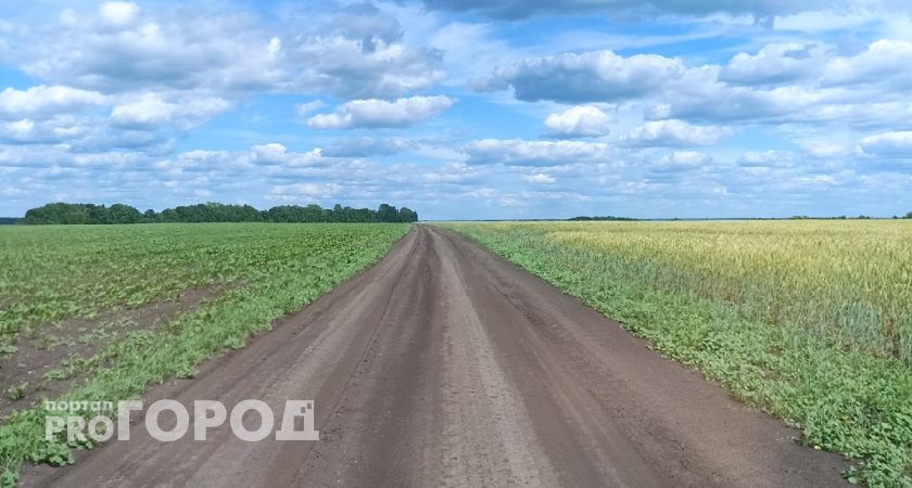 В Мордовии отметили 370-летие села Краснополье народным праздником и молебном