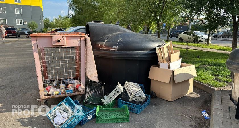 В Саранске свалка у завода «Резинотехника» остается без внимания властей более года, вызывая экологический кризис