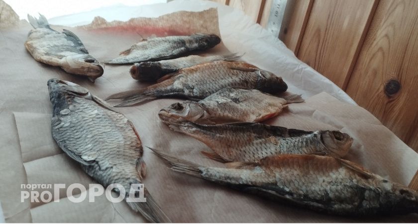 Спасатели Мордовии выиграли «Кубок Дружбы 2025» по рыбной ловле, поймав крупнейшего карпа турнира