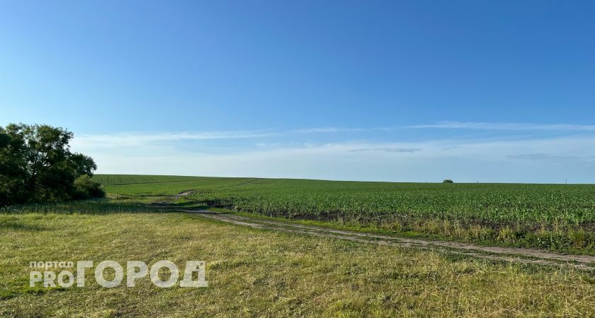 На «Атемарской» намолотили 2024 тонны озимой пшеницы за сутки — установлен рекорд