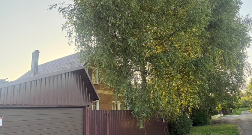 Для богатого урожая и благополучия в доме: 3 дерева, которые важно посадить на даче, чтобы удача не покидала ни на минуту