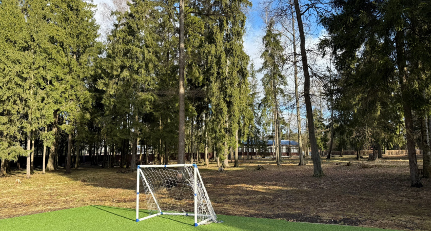 Саранск принимает Кубок России