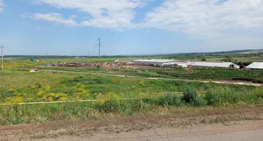 В Мордовии аграрии собрали почти 800 тысяч тонн зерна