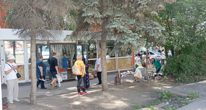 В Мордовии завершилось создание шестого по счету мурала