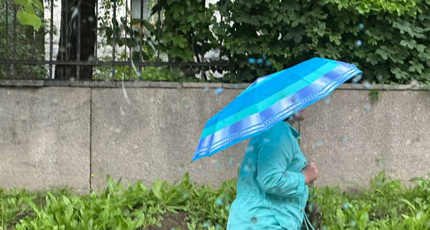 В Мордовии прогнозируются дожди и незначительное похолодание