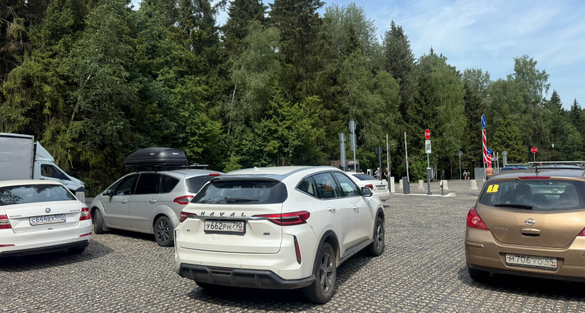 Торговля и автосервис лидируют по популярности среди видов бизнеса в Мордовии