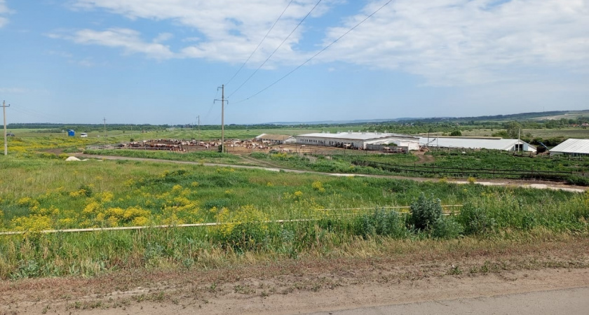 В Мордовии пройдет первый в истории Всероссийский агродиктант