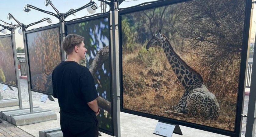 В Саранске открылась 1-я региональная Галерея Российского фонда мира