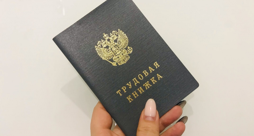 С начала года в Саранске 513 человек устроились на работу