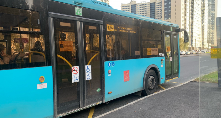 Жителям Мордовии рассказали о том, как оплатить проезд во время перебоев интернета