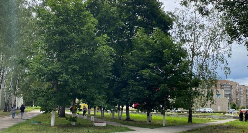 В Мордовии построили новый социально-спортивный центр за 350 миллионов рублей