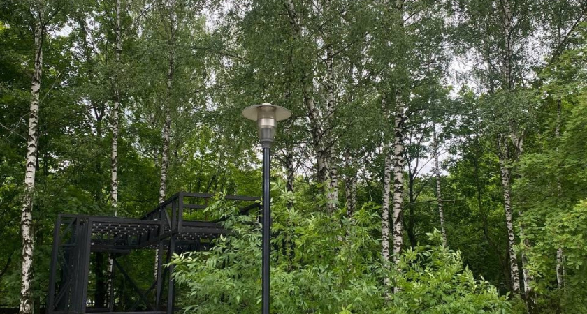 Щелково и Монино пополнились молодыми деревьями – липами, кленами, сиренью и елями